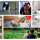 Farm Jobs Available in Maine