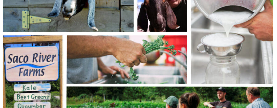 Saco River Farms is Hiring